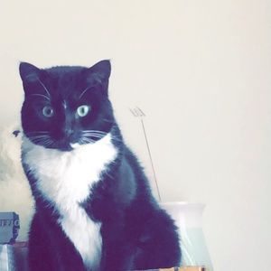 Meet your Posher, Afnan